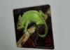 Oil Varnishing 3D Lenticular Funny Refrigerator Magnets UV Offset