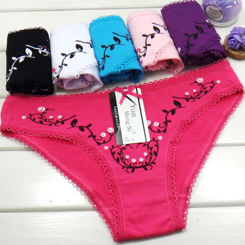 Sex slim girl panties for style new design fancy embroidered ladies brief mature women panties