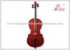 Spruce Musical Instrument Cello