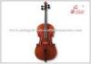 4/4 & 3/4 Musical Instrument Cello with Solid Straight Grain Spruce Top Ebony Fingerboard