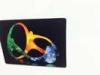 PP / PET Lenticular 3D Fridge Magnets Heidelberg Machine Printing