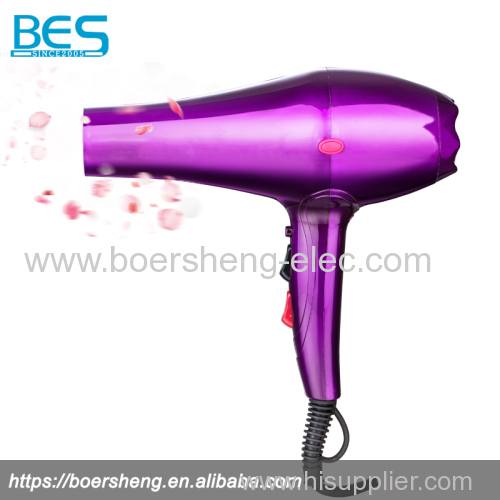 Electric Professional Home Powerful Hair Dryer with Cold Shot Function
