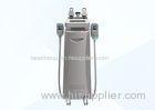 Stationary Cryolipolysis Fat Freezing Slimming Beauty Equipment for Home Use