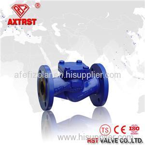 DIN Standard Cast Steel Flange Ends Swing Type Check Valve PN10~PN64