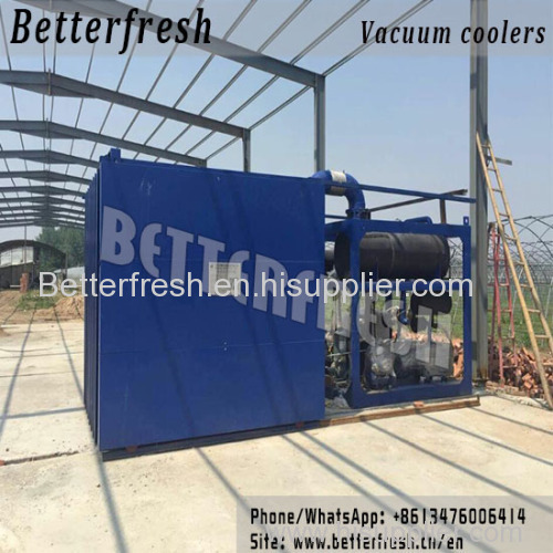 China Manufacture and Installation of fast Vegetables Cooling PreCooling Vacuum Cooling Hydro Cooling Forced Air cooling