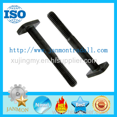 T bolts Special T bolt Special T bolts T type bolt T type bolts Steel T bolt Steel T bolts T head bolt Black steel TBOLT