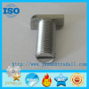 T bolts T type bolt T type bolts Steel T bolt Steel T bolts T head bolt T head bolts Hammer T head bolt SS304 T headBOLT