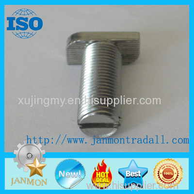 Stainless steel T bolt T bolt T bolts Special T bolt Special T bolts Stainless steel bolt stainless steel T bolt SS 304