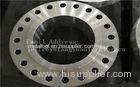 Customized stainless steel forged flanges F316L F304L F51 F53 F60