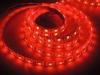 IP67 Waterproof LED Strip RGB SMD 5050 Warm White / Cold white / Red / Green / Blue