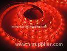 IP67 Waterproof LED Strip RGB SMD 5050 Warm White / Cold white / Red / Green / Blue