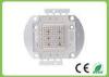 100 Watt High Power Cob Grow Led Light Chip For Plant Flowering And Fruiting