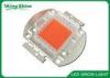 Original Grow Light 100 Watt Led Chip Full Spectrum COB Led Source