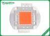 Hydroponic Fruit Plants Led Grow Light Chip 100w Full Spectrum Bridgelux Chip