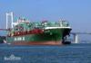 Sea Freight International Shipping Service China To USA Canada