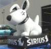 Event Decoration Sirius Dog Inflatable White Lead Free DigitalPrinting