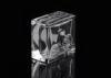 Mini Square Crystal Glass Perfume Bottles 50ml for Women Gift