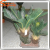 Factury Outlets Mini Trees Artificial Cycas Revoluta Thunb Palm Tree Green Plant for sale