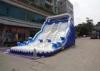 Outdoor Double Dolphin Inflatable Backyard Water Slide With 9L X 4W X6H