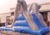 Wet Dry Inflatable Bouncer Slide Volcano Fashion Swimming Pool With Slides