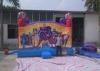 Spderman / Frozen Inflatable Jumping House With PVC Tarpaulin