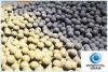 No Deformation Ball Mill Grinding Media steel balls for Coal Mill