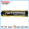 High Quality Lr03/aaa/am-4 Dry Battery