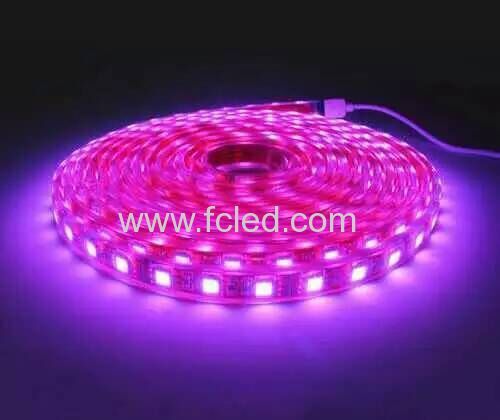 5050SMD 60leds led flexible strip light led tape