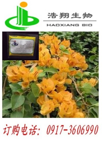 Palmatine 98% CAS#3486-67-7 Haoxiang Bio