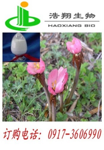 Podophyllotoxin HPLC 98% CAS#4354-76-1 Haoxiang Bio
