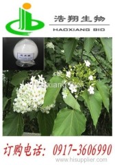 Ursoli 98% HPLC CAS#77-52-1 Haoxiang Bio