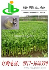 Apigenin98% HPLC CAS#520-36-5 Haoxiang Bio