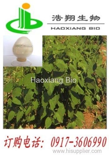 Resveratol 50% 98% 99% HPLC CAS#501-36-0 Haoxiang Bio