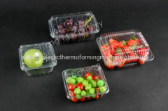 Plastic Fruit Box Forming Machine For BOPS/PVC/PET/PP/PS Material