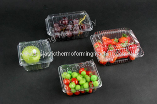 Plastic Fruit Box Forming Machine For BOPS/PVC/PET/PP/PS Material