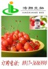 Cherry Extract 17%VC 25% Vitmin (VC) lyophilized powder