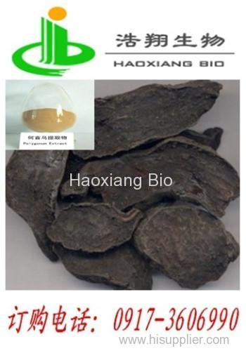 Polygonum multiflorum Thunb P.E. Haoxiang Bio
