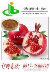 Pomegranate P.E Ellagic 40% HPLC Haoxiang Bio