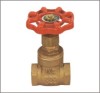 Bronze Gate Valve with Orange Color Painted
