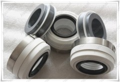 PTFE bellow mechanical seal