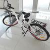 250W City electric bikes for adults F / V Brake Alloy Frame beach cruiser bike