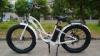 25km / h Max Speed Fat tire Women Mountain Bike CE approval 24.5KG N.W