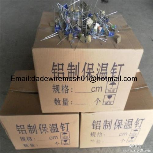 Plastic Cap Heat Preservation Dowel Nail