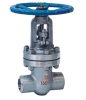 The middle flange gate valve