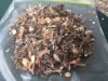 Peruvian Brown Dried Seaweed Macrocystis Integrifolia