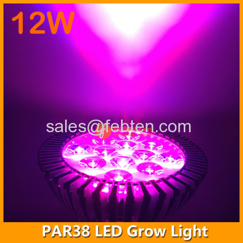 12W LED grow lighting PAR light in E27 lamp socket