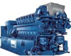 Iran Gas Generator Supplier