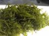 SEAWEEDS SUGINORI DRIEDf or human consumption for INDUSTRY