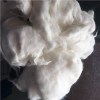 White Rabbit Hair Product Product Product