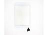 White Ipad Repair Parts Mini Touch Screen Digitizer IC Connector With Home Button